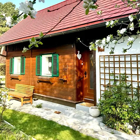 - Senn-inn Im Zentrum Von * 斯拉德明